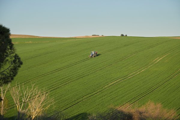 The Ultimate Solution: Dahua’s Feature-Rich Network Video Recorder**