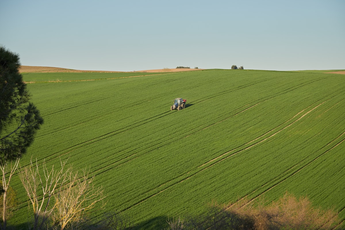 The Ultimate Solution: Dahua’s Feature-Rich Network Video Recorder**